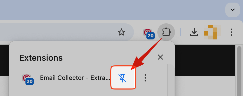 How to pin the extension